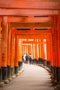 Tourist walk and see Red torii at Fushimi Inari-taisha shrine