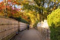 Tourist walking in beautiful nature bamboo forest and maple tree in autumn season Royalty Free Stock Photo