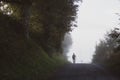 Tourist walking in fog. Backpacker on the road in foggy morning and sunlight. Pilgrim on Camino de Santiago. Active lifestyle.