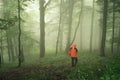 Tourist walking in green foggy forest