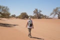 Tourist walking on the scenic dunes of Sossusvlei, Namib desert, Namib Naukluft National Park, Namibia. Afternoon light. Adventure Royalty Free Stock Photo