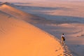 Tourist walking on the scenic dunes of Sossusvlei, Namib desert, Namib Naukluft National Park, Namibia. Afternoon light. Adventure Royalty Free Stock Photo