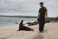 Tourist walking by a seal Royalty Free Stock Photo