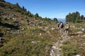 Tourist walking in trekking trail with Beautiful view Royalty Free Stock Photo