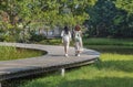 Tourist walking on wooden trail in Hong Kong wetland park Royalty Free Stock Photo