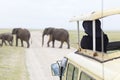 Tourist Watching Elephants