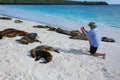 Tourist watching Galapagos sea lions at Gardner Bay on Espanola Island, Galapagos National park, Ecuador