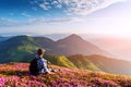 A tourist in white clothes sits on a pink carpet of rhododendron flowers Royalty Free Stock Photo