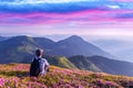 A tourist in white clothes sits on a pink carpet of rhododendron flowers Royalty Free Stock Photo