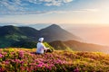 A tourist in white clothes sits on a pink carpet of rhododendron flowers Royalty Free Stock Photo