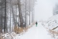 Tourist in winter misty forest Royalty Free Stock Photo