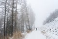 Tourist in winter misty forest Royalty Free Stock Photo