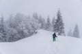 Tourist in winter misty forest Royalty Free Stock Photo