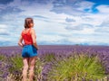 Tourist woman enjoys view of lavender fields, Provence France Royalty Free Stock Photo