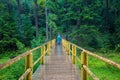 Tourist woman go by handmade wooden bridge in middle of forest across river in rain in rain suitcase