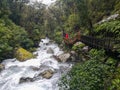 Tourist in deep New Zealand forest with wild river Royalty Free Stock Photo