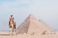 tourist woman riding a dromedary in front of pyramids. Egypt, Cairo - Giza Royalty Free Stock Photo