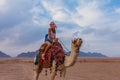 Tourist woman in traditional arabian clothes with camel in the Sinai Desert, Sharm el Sheikh, Sinai Peninsula, Egypt