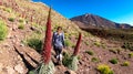 Tourist woman walking in field of red flowers Tajinaste. Scenic view on volcano Pico del Teide, Mount El Teide National Park Royalty Free Stock Photo