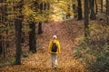 Tourist woman walking in woodland footpath at fall season