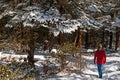 Tourist at Yumthang Valley