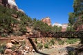 Tourist Zion National Park Royalty Free Stock Photo