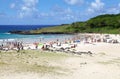 Anakena beach, Easter Island, Chile Royalty Free Stock Photo