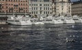 Touristic boats, Stockholm/seagulls.