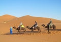 Touristic camel caravan in desert Royalty Free Stock Photo