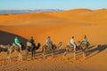 Touristic camel caravan in desert Royalty Free Stock Photo