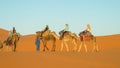 Touristic camel caravan in desert Royalty Free Stock Photo