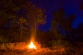 touristic camp fire on forest glade at the night Royalty Free Stock Photo