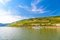 Touristic cruise passenger motor ship boat and vineyards in Ruedesheim am Rhein Rhine, Rudesheim, Rheingau-Taunus-Kreis, Darmstadt