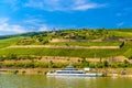 Touristic cruise passenger motor ship boat and vineyards in Ruedesheim am Rhein Rhine, Rudesheim, Rheingau-Taunus-Kreis, Darmstadt