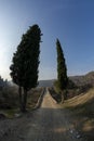 Touristic destination bergama acropolis city ruins unicef Royalty Free Stock Photo