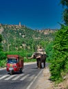 Touristic elephants in Rajasthan India