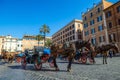 Touristic horse-drawn carriages in Rome