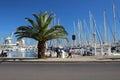 Touristic port of Palermo in Italy