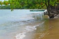 Beach and trees in Boipeba, island, Bahia, Brazil Royalty Free Stock Photo