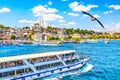 Touristic sightseeing ships in Golden Horn bay of Istanbul and view on Suleymaniye mosque with Sultanahmet district. Seagull on Royalty Free Stock Photo