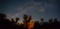 Touristic stand with camp fire in night forest under dark starry sky Royalty Free Stock Photo