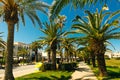 Touristic street with palm trees along the seafront in the old town of Rethymno, Greece