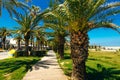 Touristic street with palm trees along the seafront in the old town of Rethymno, Greece