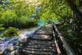 Wooden pathway for nature trekking in Plitvice Lakes National Park, Croatia Royalty Free Stock Photo