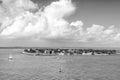 Touristic yachts floating near green island at Key West, Florida Royalty Free Stock Photo