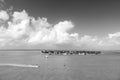 Touristic yachts floating near green island at Key West, Florida Royalty Free Stock Photo
