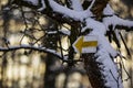 Touristic sign on a tree