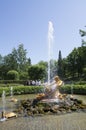 Tourists admire Greenhouse fountain with a sculpture of Triton,