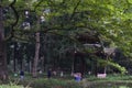 Tourists around the pagoda in the Wulingyuan scenic area. Yes, t