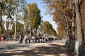 Tourists in Avenue des Champs-Elysees Paris Royalty Free Stock Photo